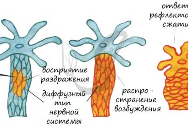 Kraken зеркало рабочее